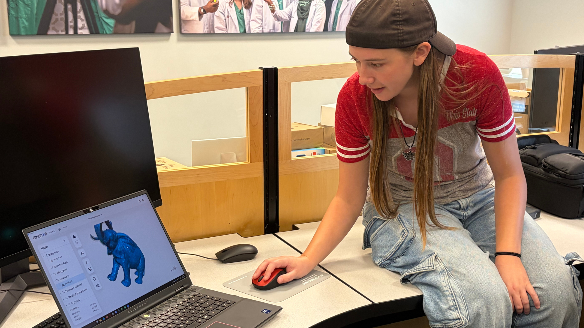 Person looking at 3D model of elephant on computer.